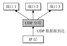 UDP分用.png